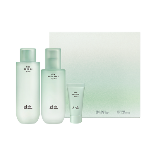 HANYUL Pure Artemisia Calming Balancing Basic Skincare Duo Set