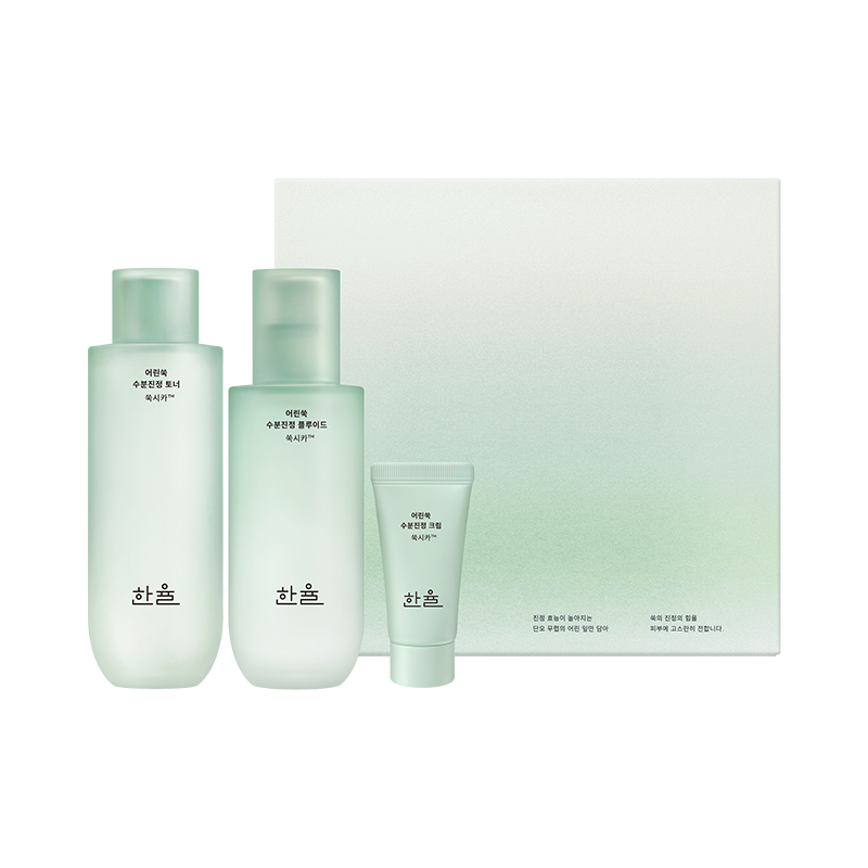 HANYUL Pure Artemisia Calming Balancing Basic Skincare Duo Set