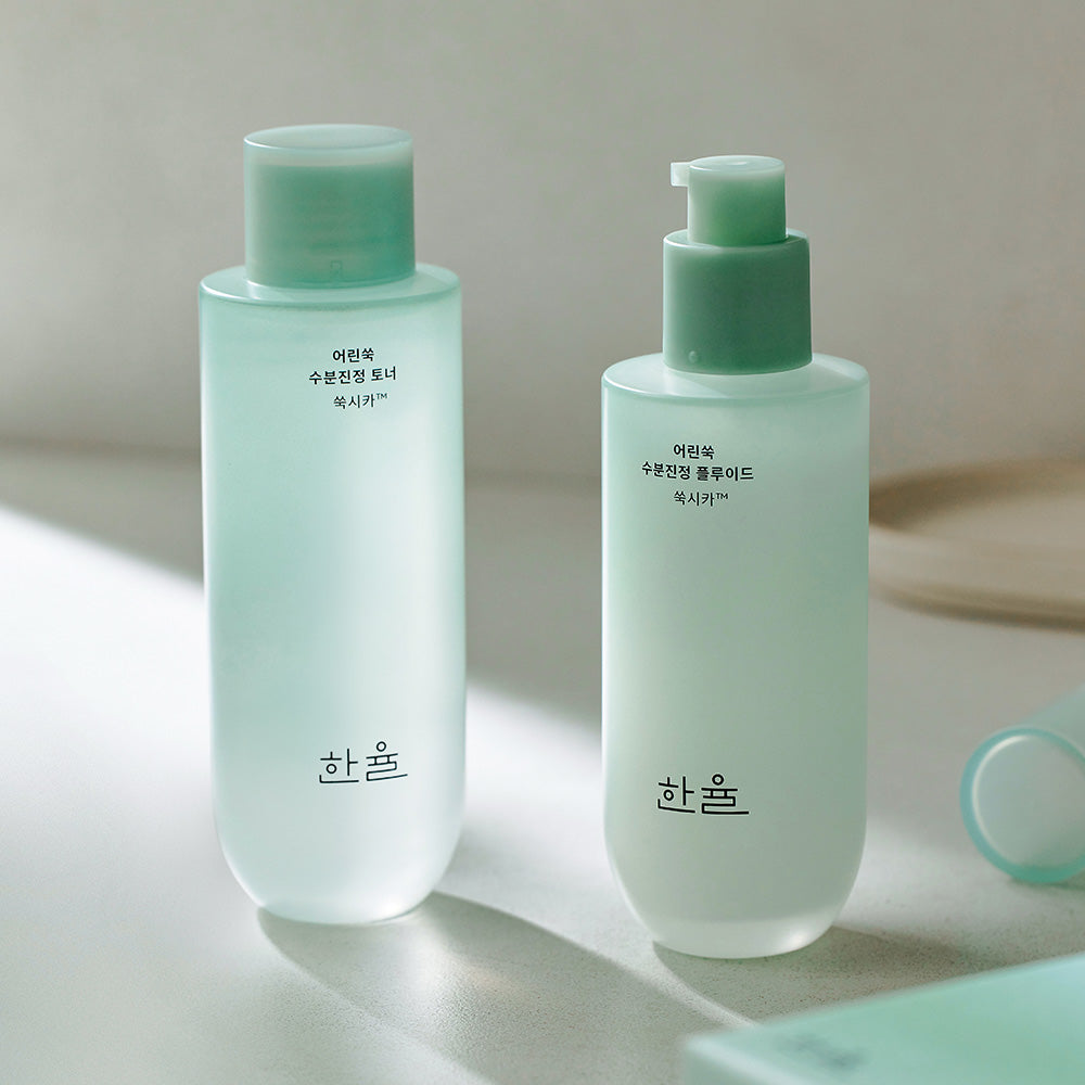 HANYUL Pure Artemisia Calming Balancing Basic Skincare Duo Set